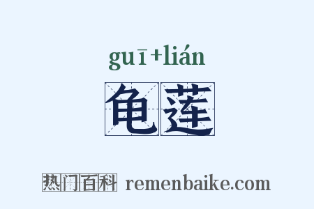 龟莲是什么意思的图片